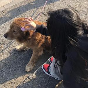 退休老头肉吊又粗又长
